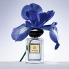 Giorgio Armani Iris Bleu Giorgio Armani Iris Bleu
